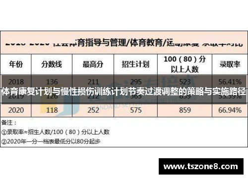 体育康复计划与慢性损伤训练计划节奏过渡调整的策略与实施路径