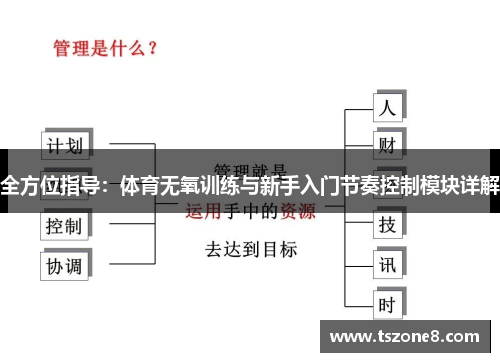 全方位指导：体育无氧训练与新手入门节奏控制模块详解